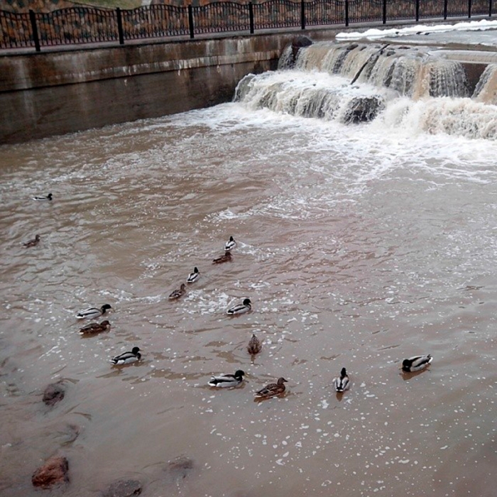 4b6b96b89bf611e3a03d123d3cfc7775_8