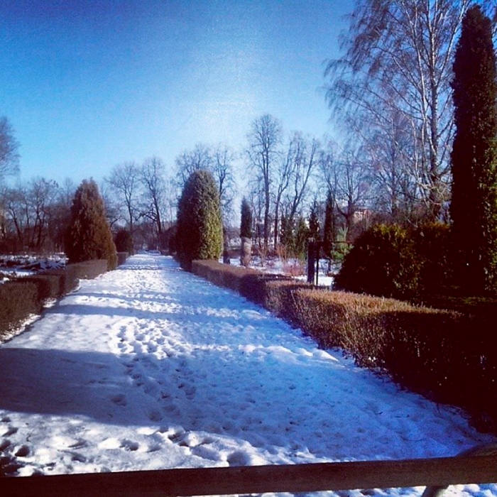 2ca81c768c4f11e385200ad71506ef7a_8