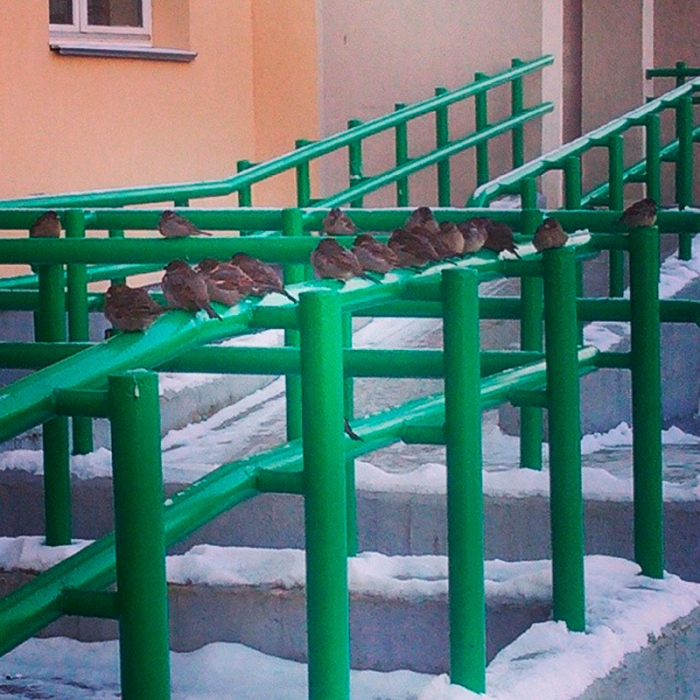 c708680c8c4f11e381b00e0f86072ad0_8