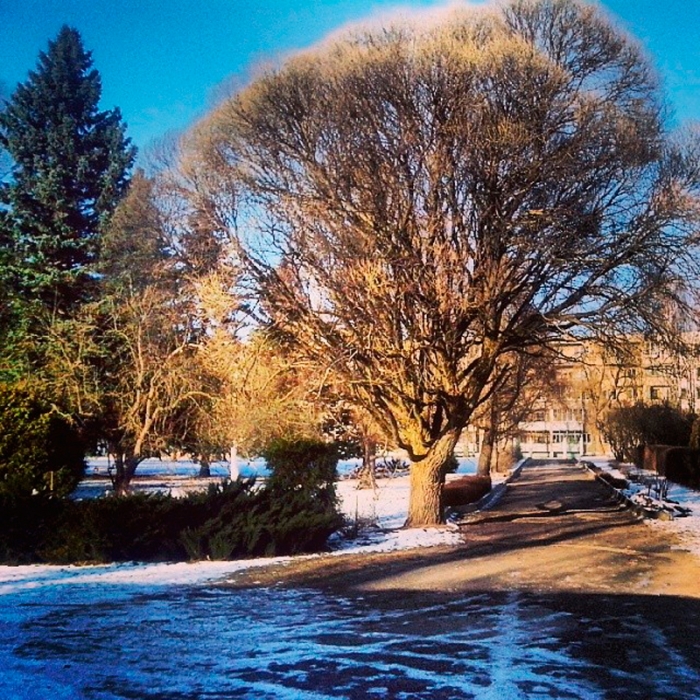 72887f6a8c4f11e389e30e278e3571bc_8