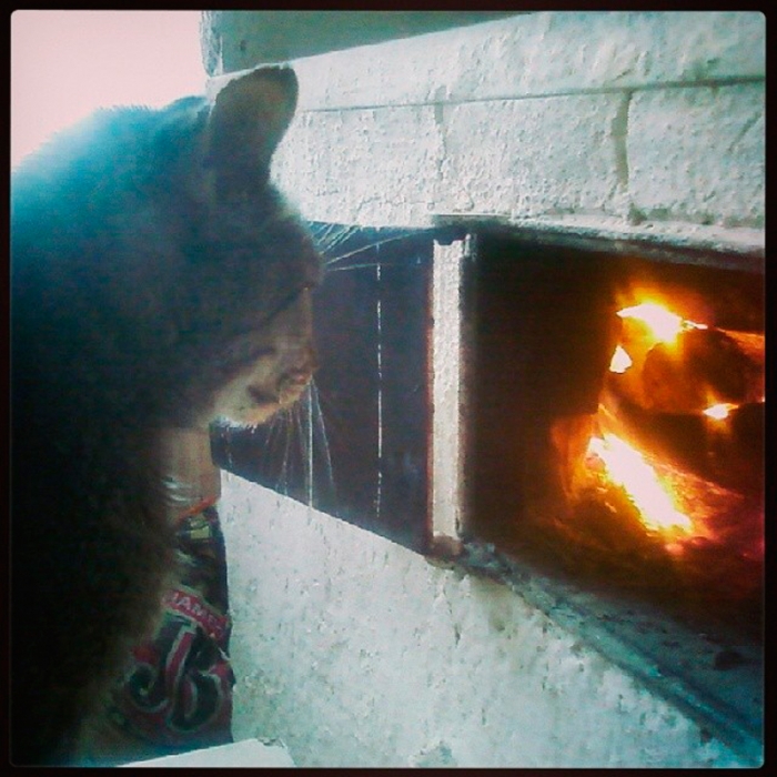 928642749c9f11e3bcb31235cf0a2eeb_8