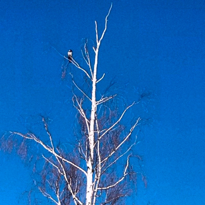 b3c429069c8b11e39d7d12ccbf42687e_8