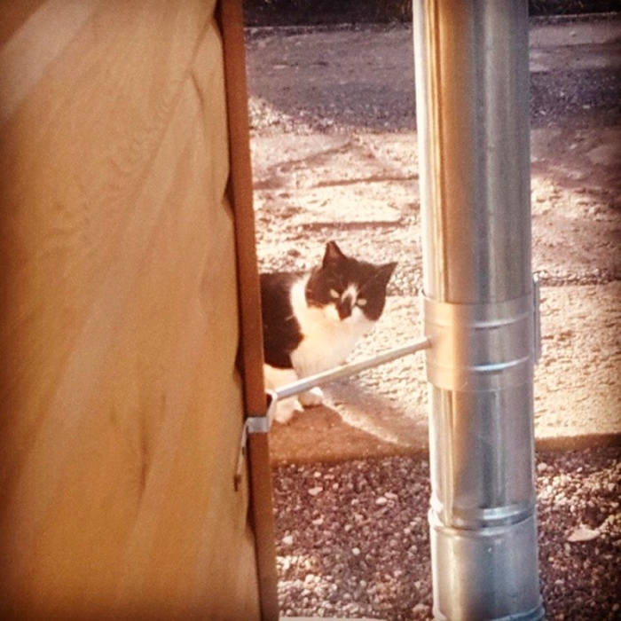 42d61a329c9111e3b23d0e73c177bda8_8