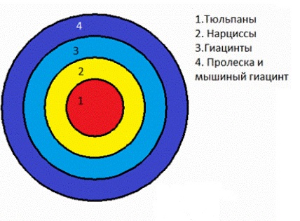 krasivie-klumbi-5