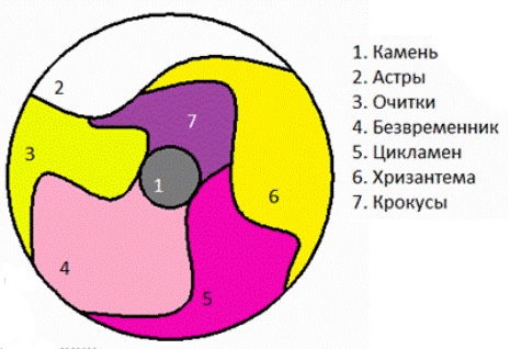 krasivie-klumbi-7