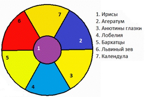 krasivie-klumbi-6