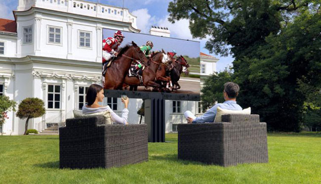 1361430310_seed-c-201