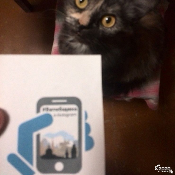 3cde80d85dad11e3a1e712e06ab35897_8