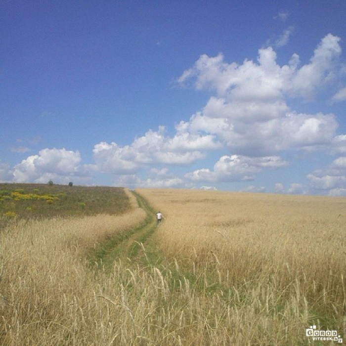 00b604d660f111e3a36d0efe2ecb7f88_8