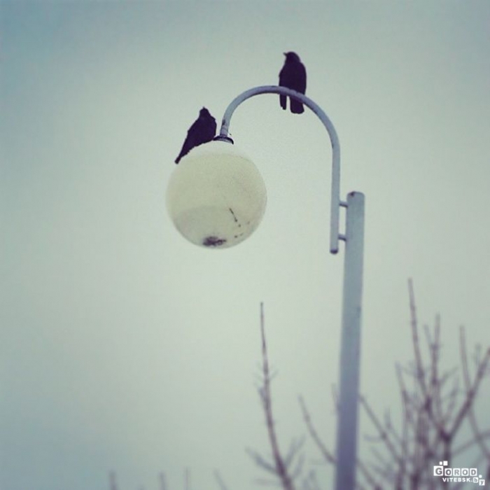 2eef314e6a6811e3b07612e345b804f1_8