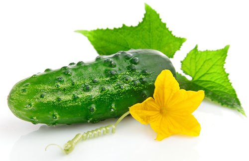 cf6846fdff8e40066bf797cf60e83d1f