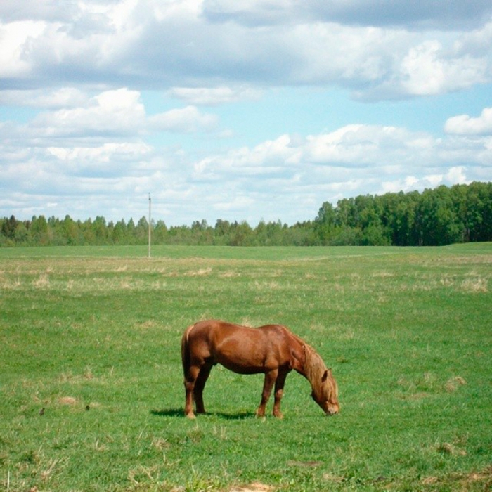 Новости Витебска