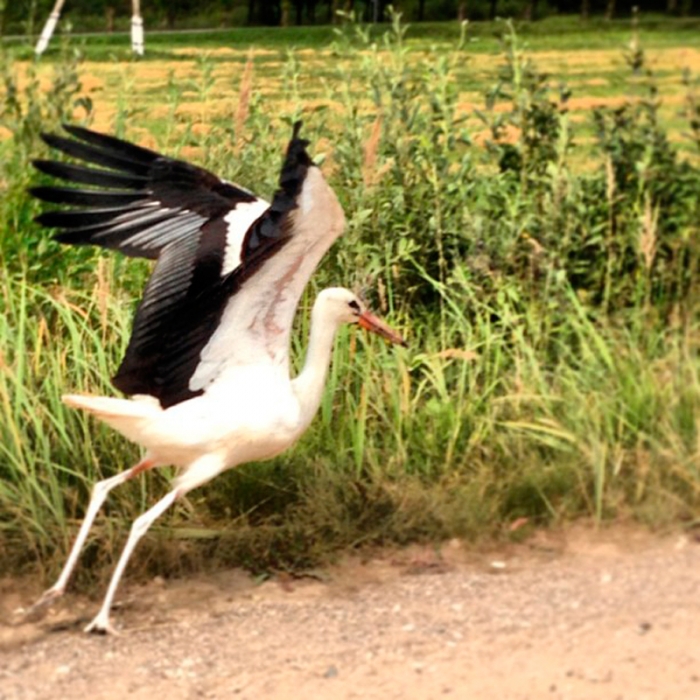 Новости Витебска