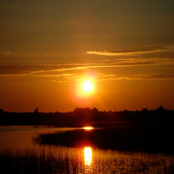 Новости Витебска