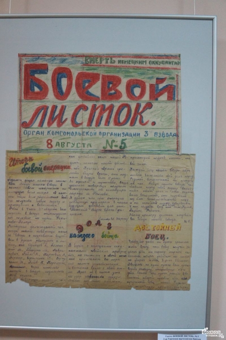 Витебский Областной Краеведческий музей