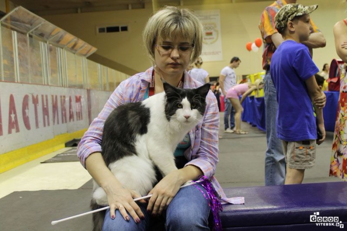  Международная выставка кошек