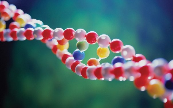 Новости Витебска