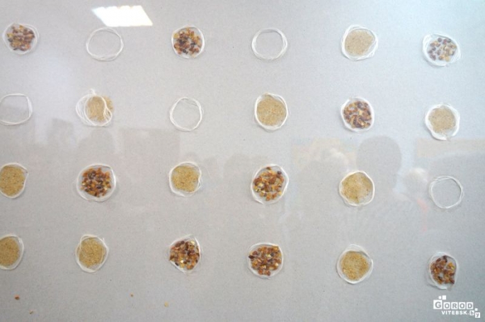 Новости Витебска фото