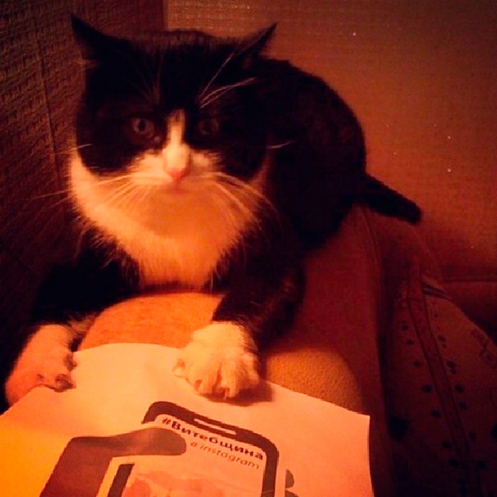 a0221a44926711e3b4f00e8811d39b04_8