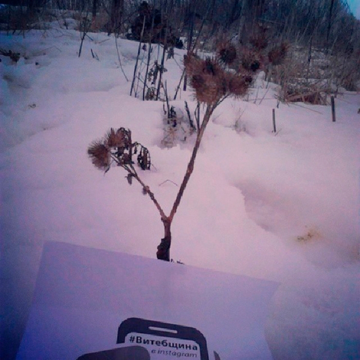 cb478d58926711e38bc10e763695387f_8