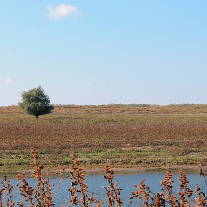 679f532e92f511e38f6012497fe3dc8f_8