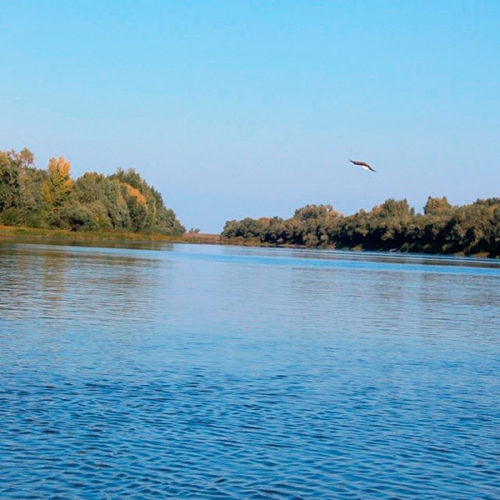 c6757a5492f511e385f00e85260b2a0e_8