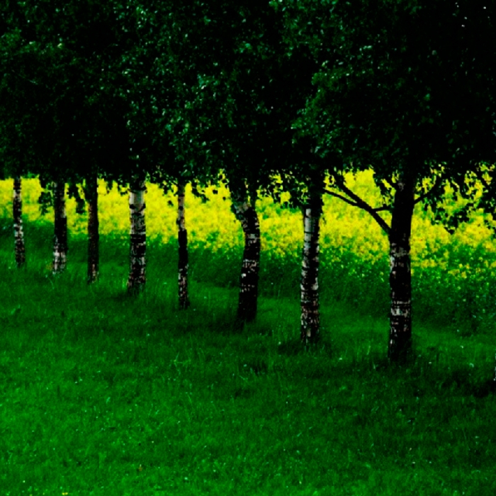 18d8b47892f111e391210a21655d2104_8