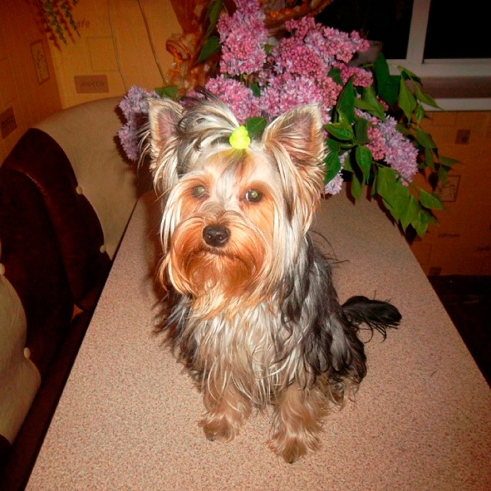 f1fbfaf492f011e3859a127409421c84_8