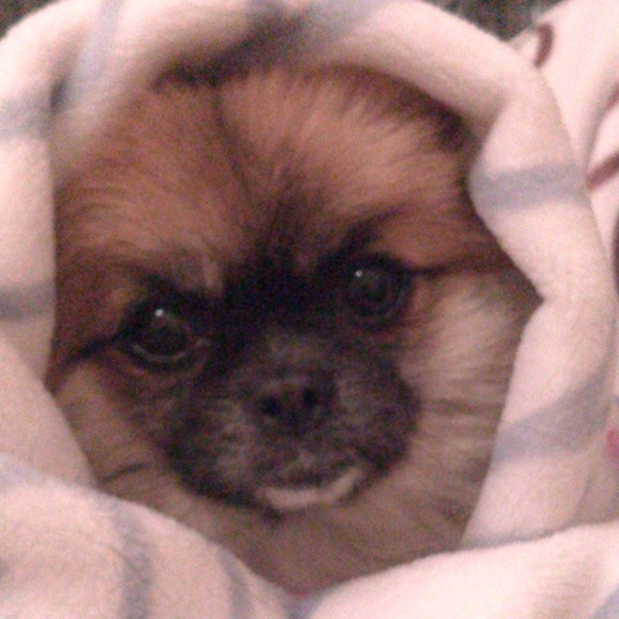 b395aa02922411e3974d0efa99b78f33_8