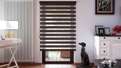 Без-имени-22