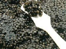 ikra[10616](265x199)