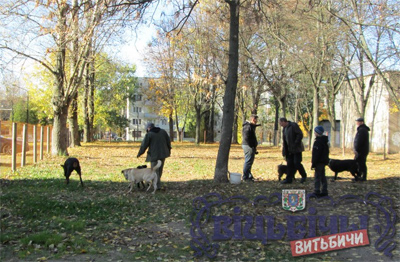 Площадка для выгула собак возле СШ №31 Витебск Площадка для выгула собак возле СШ №31 Витебск