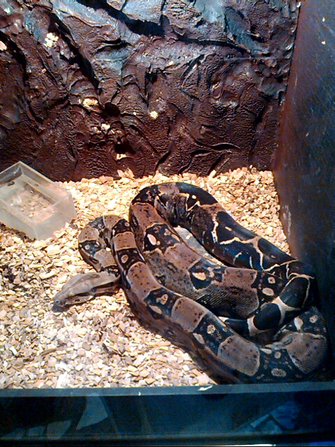 p_20130910_155527794