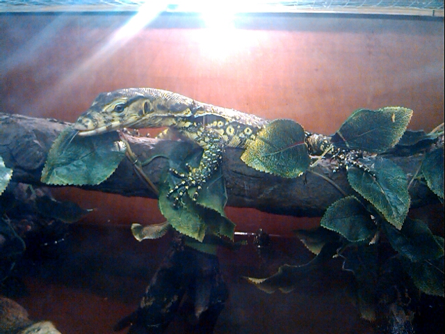 p_20130910_155517502