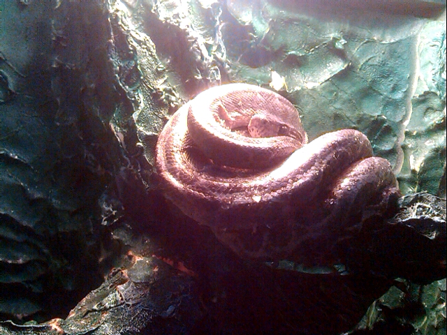 p_20131203_094418124