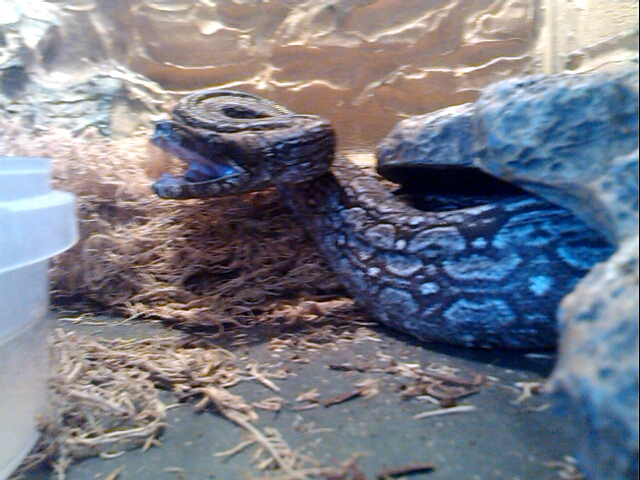 p_20130222_102423157