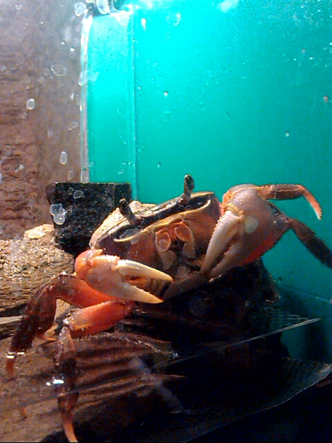 p_20121223_200237696