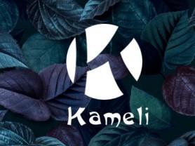 Kameli - украшения со смыслом