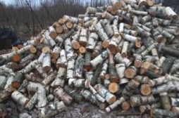 Дрова чурками в Витебске