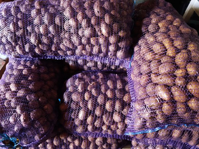 Семенной картофель