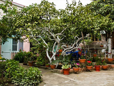 Гостевой дом УЮТНЫЙ ДВОРИК, Гагра