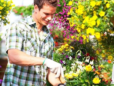 Растениеводство