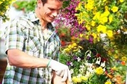 Растениеводство