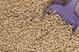 Наполнители для домашних животных