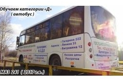 Категория Д (автобус)