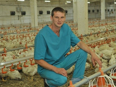 Животноводство