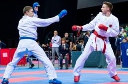 Каратэ WKF