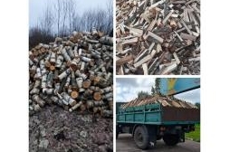 Заказать дрова в Витебске