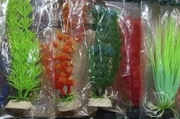 Растения для аквариумов