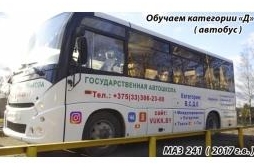 Категория Д (автобус)